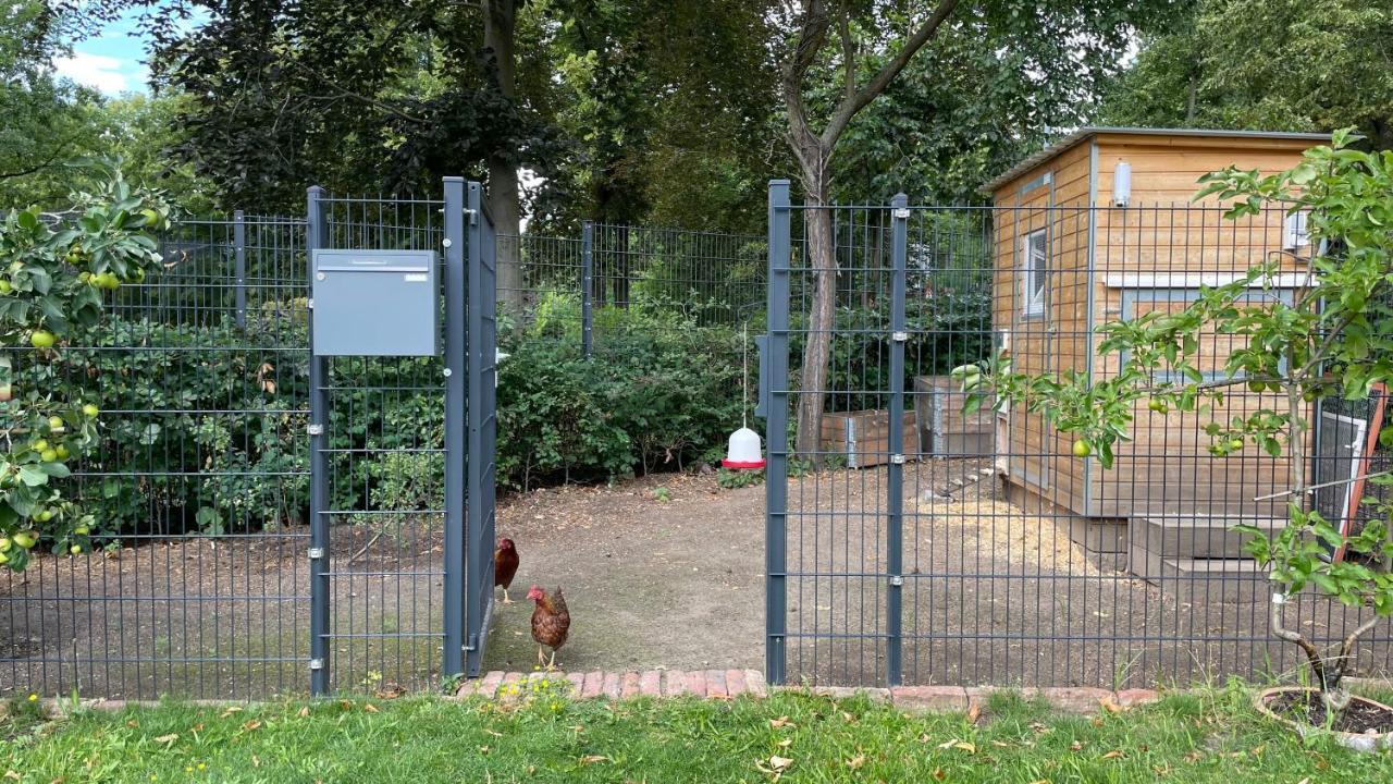Carla Rohls Koenigs Wusterhausen